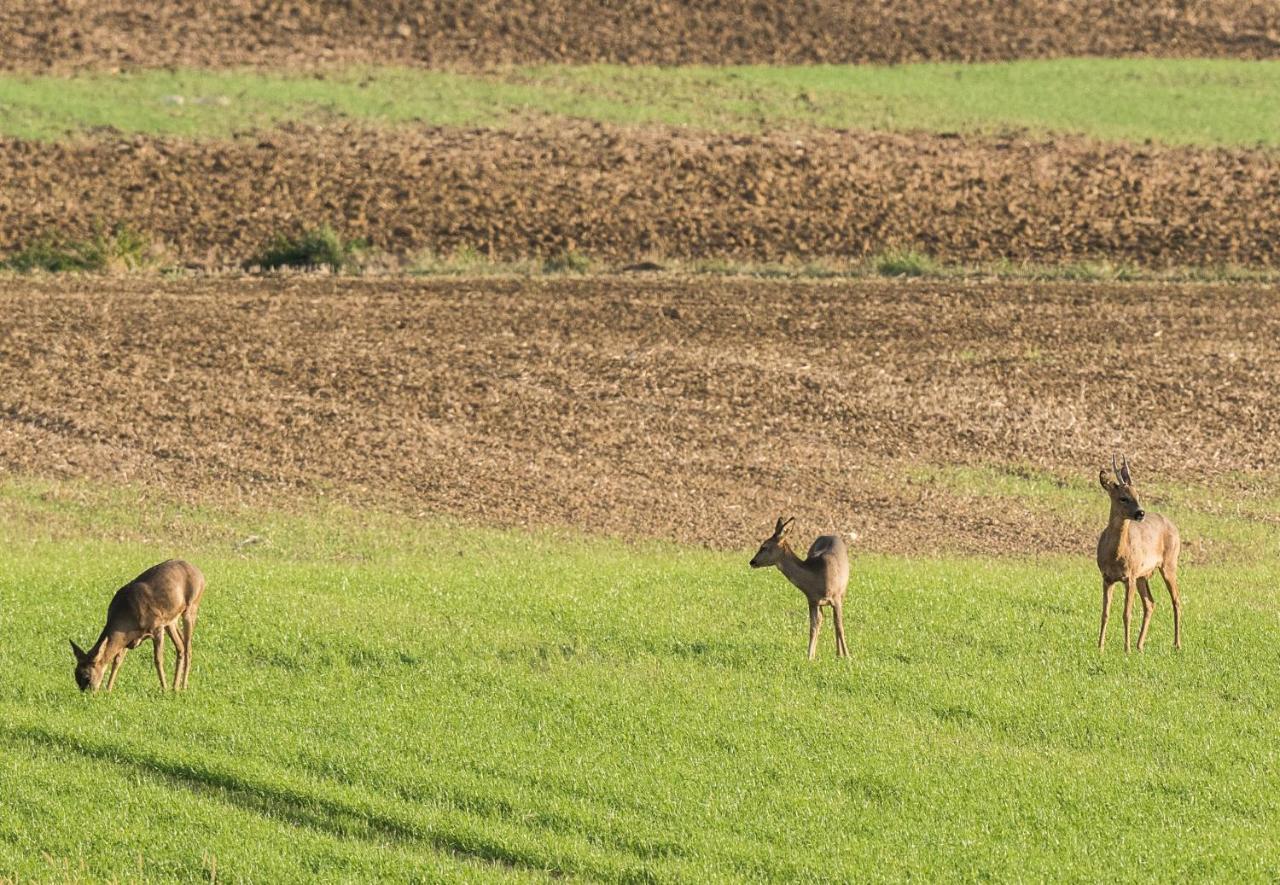 Chatrou Chatelraould-Saint-Louvent Esterno foto