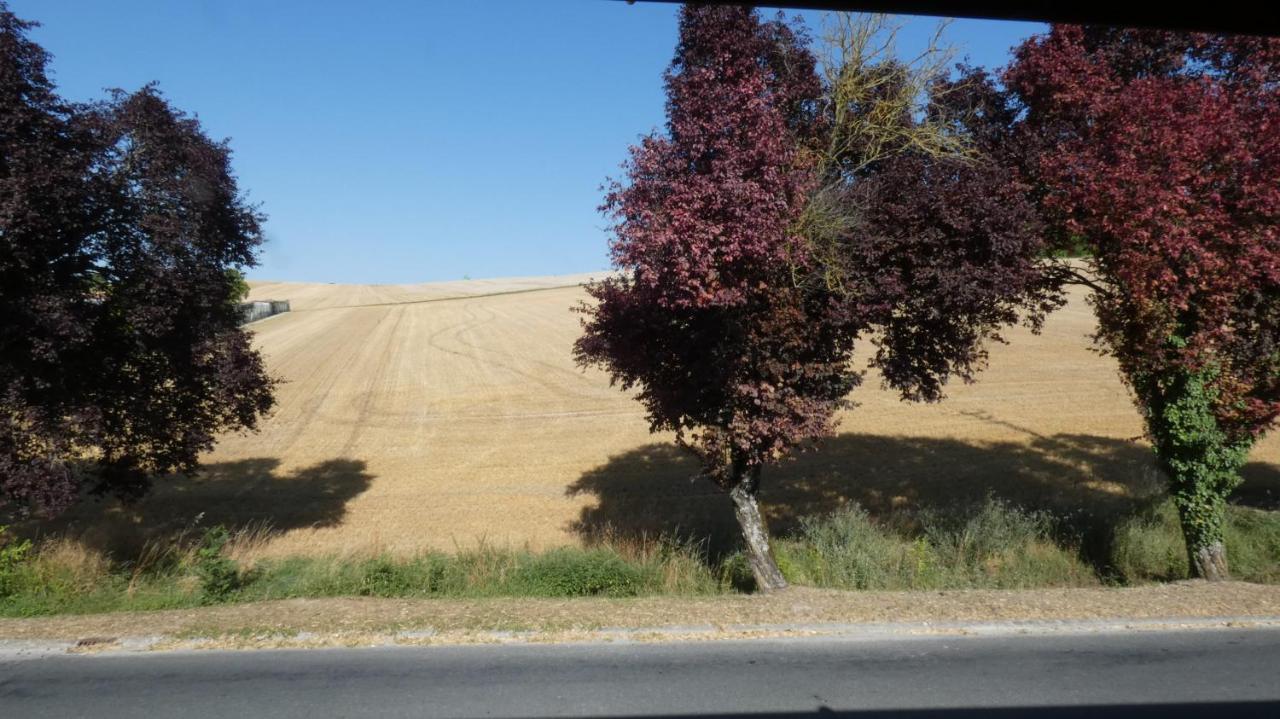 Chatrou Chatelraould-Saint-Louvent Esterno foto